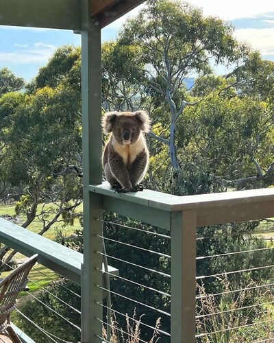 Allusion Farmstay & Vineyard - Unit 2 Shiraz