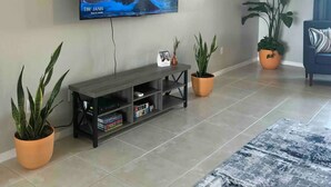 Un salon doté d’un téléviseur à écran plat fixé au mur, d’un meuble de rangement en bois foncé en dessous et d’un tapis à motifs bleus sur le sol.