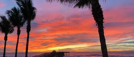 Plage à proximité, chaises longues, serviettes de plage