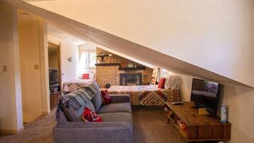 TV connectée, cheminée, livres, vidéothÚque