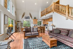 Télévision, cheminée, livres, vidéothèque