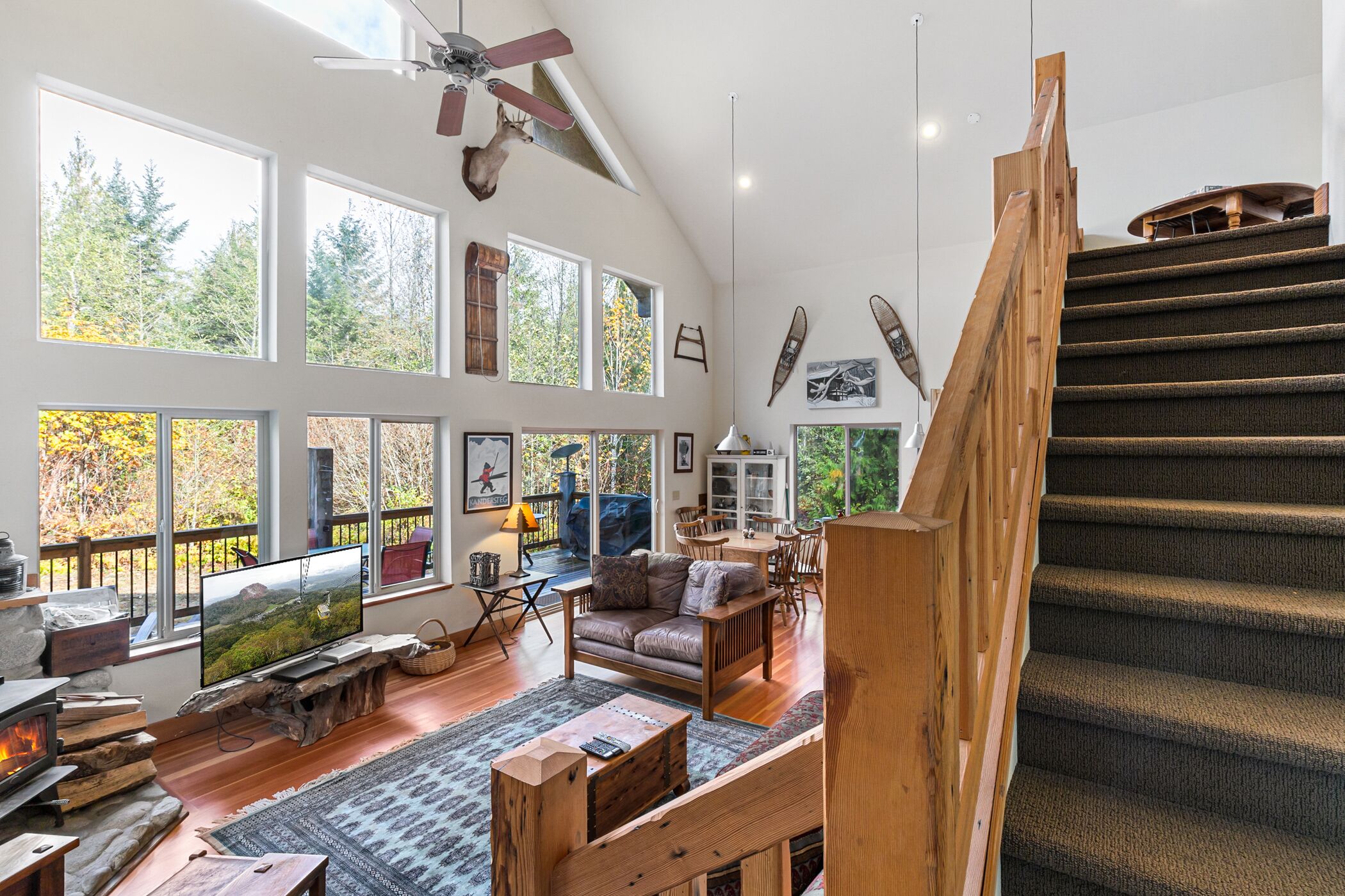 TV, fireplace, books, video library