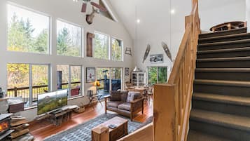 TV, fireplace, books, video library