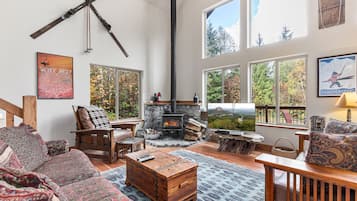 TV, fireplace, books, video library