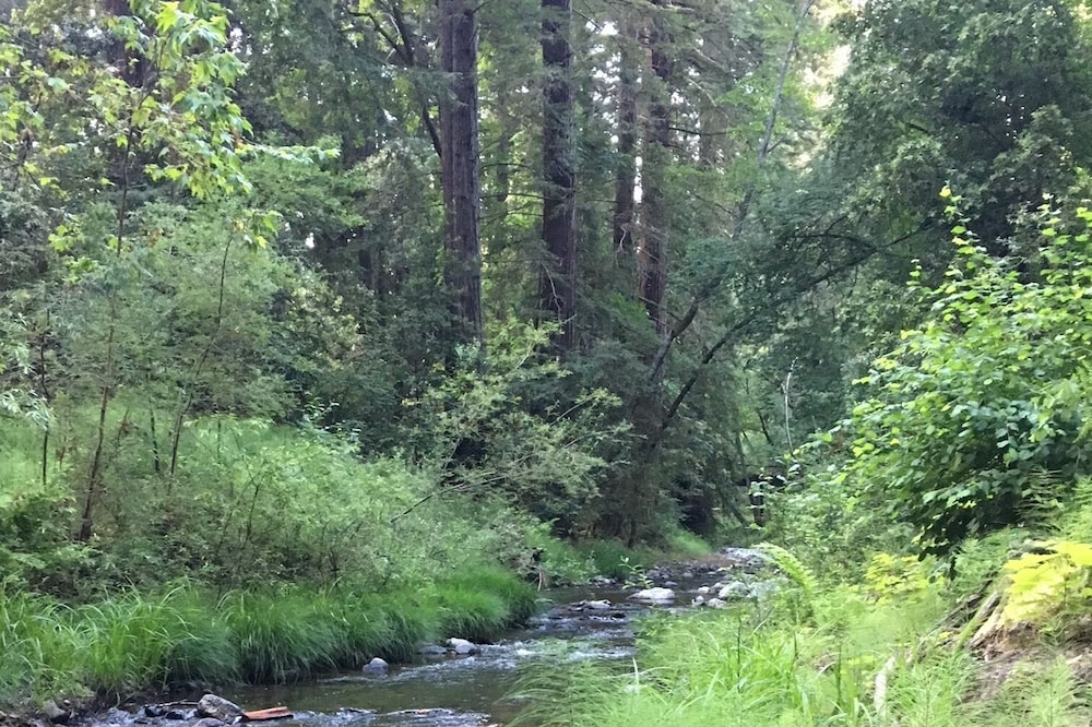 Sweet Spot in the Santa Cruz Redwoods 10 minutes from the Ocean