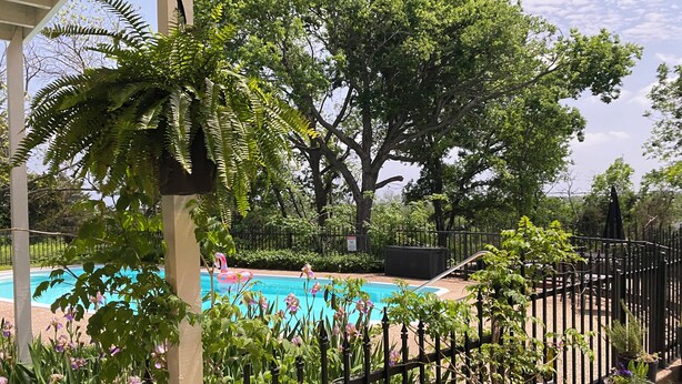 A swimming pool surrounded by lush greenery and a black metal fence. - Spacious guesthouse located in the heart of Weatherford. (Weatherford)