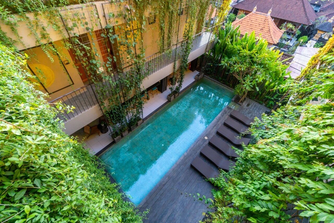 An indoor swimming pool surrounded by lush greenery and a wooden deck.