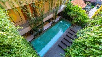 An indoor swimming pool surrounded by lush greenery and a wooden deck.