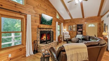 TV, fireplace, video games, DVD player