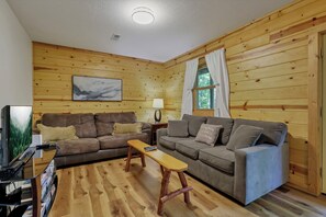 テレビ、暖炉、テレビゲーム、DVD プレーヤー