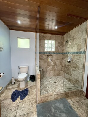 Shower, hair dryer, bidet, towels