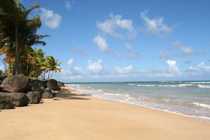 Sun-loungers, beach towels