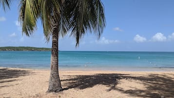 Sillas reclinables de playa, toallas de playa