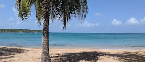 Sun-loungers, beach towels