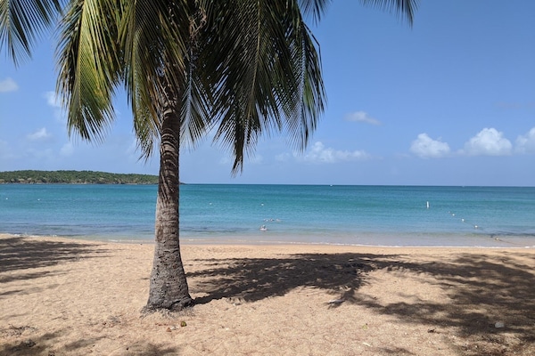 Gandules de platja i tovalloles de platja