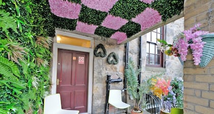 Grand Mansion, 9 Beds, Sleeps 17, Parking - Groups