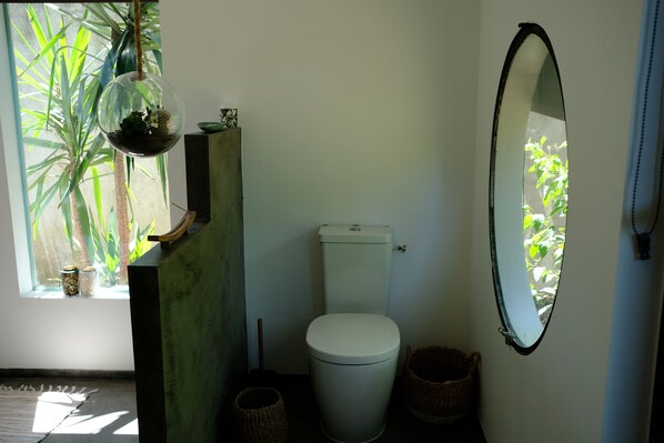 A bathroom with a toilet, a hanging plant, a mirror, and a window with plants outside.