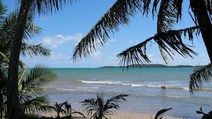 Une plage bordée de palmiers, avec vue sur l’océan.