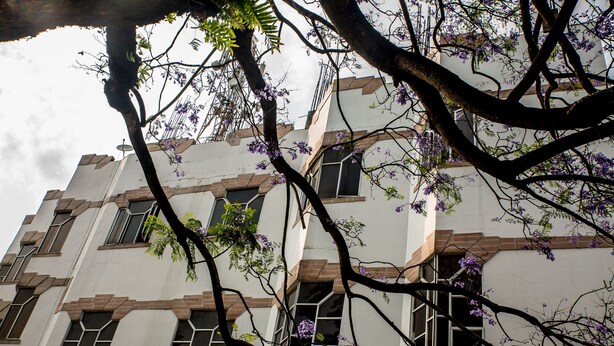 Un edificio de varios pisos con fachada blanca y detalles marrones, que cuenta con ventanas grandes y un árbol con flores moradas al frente.