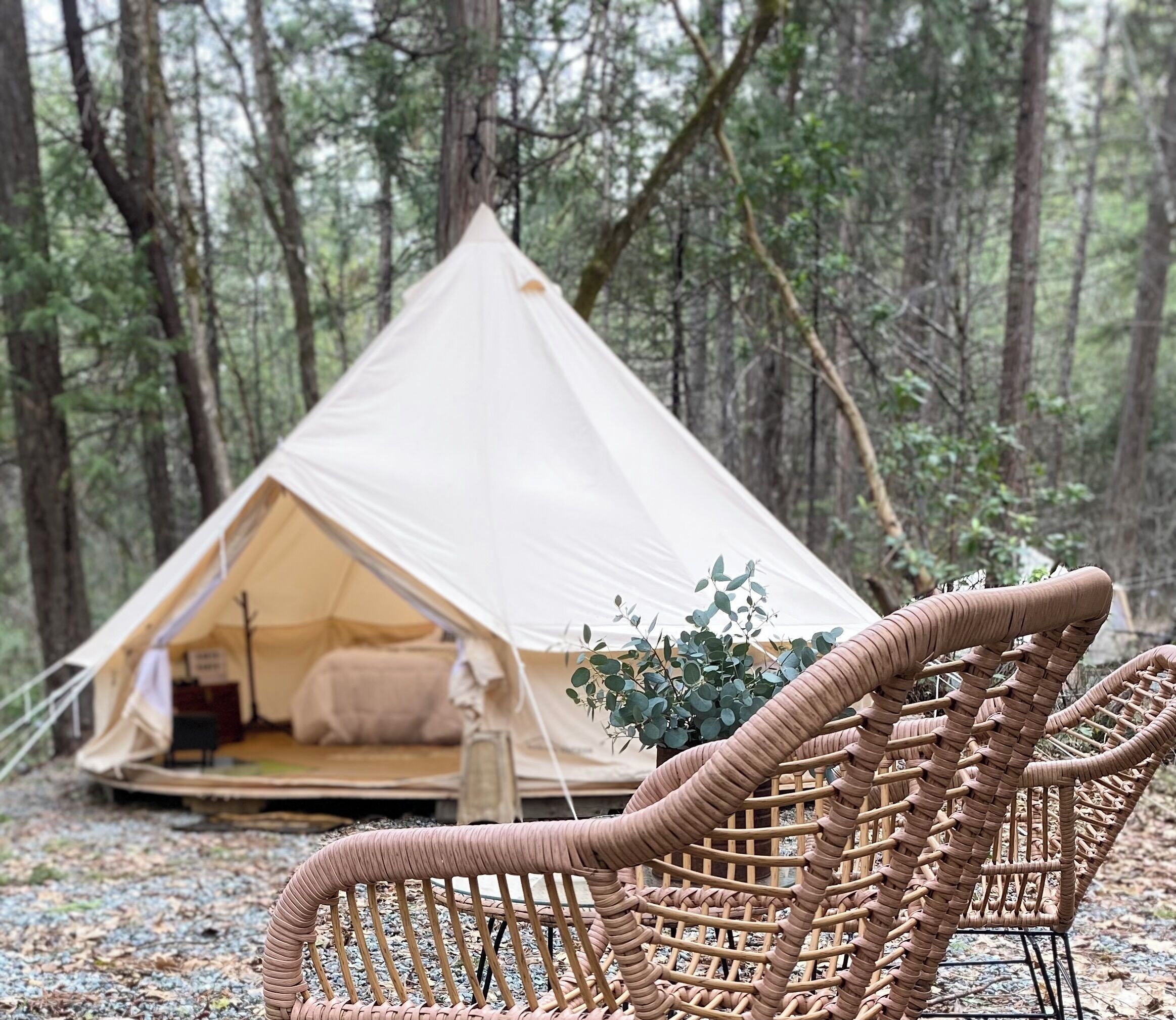 华丽帐篷房 | 高档床上用品、羽绒被、记忆海绵床垫、迷你吧（备有免费物品）