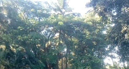 4 BHK Farmhouse Villa in Bangalore for staycation