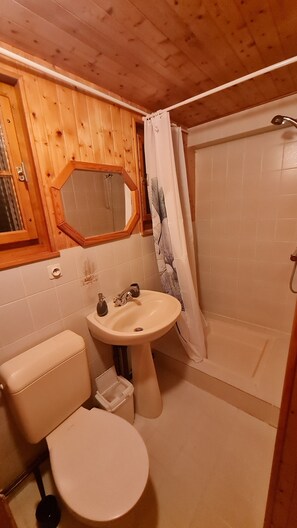 シャワー、ヘアドライヤー、タオル、石鹸