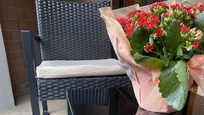 A black metal table with a cushion and a bouquet of red flowers. - House Valentina (Perugia)