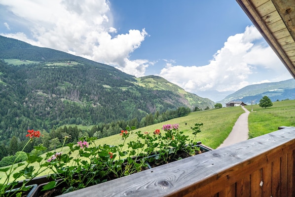 A wooden balcony with a view of a green valley and mountains.