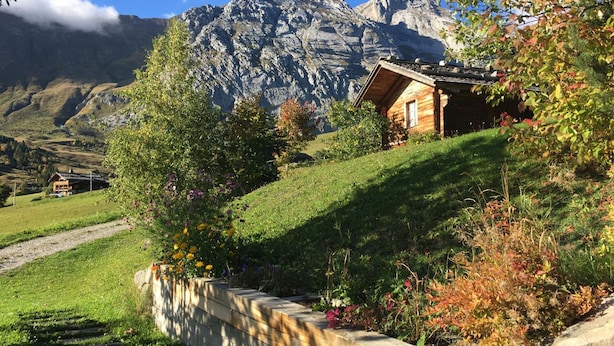 A wooden cabin with a sloped roof, surrounded by a garden with various plants and flowers, set against a backdrop of mountains and a clear sky. - Cozy apartment for 6 with parking in Grand-Bornand (Le Grand-Bornand)
