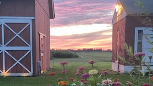 Ett lantligt landskap med en ladugård och ett litet hus, omgivet av ett fält med färgstarka blommor.