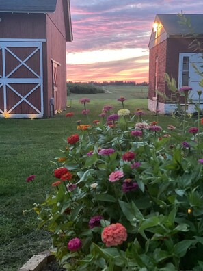 Property grounds - Cutchogue Farmhouse Estate with hot tub and gardens, walk to beach & vineyards (Cutchogue)