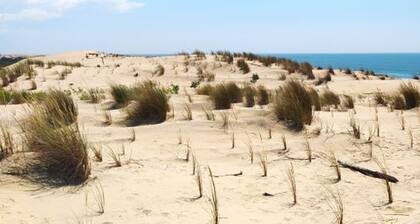 Renovated house 4 pers in La Palmyre, terrace, pets allowed, parking