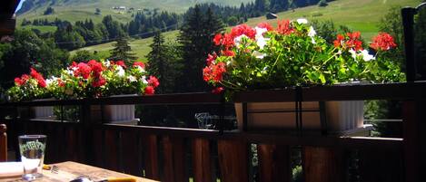 Opções para refeição ao ar livre