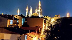 A mosque with multiple minarets and a dome, surrounded by residential buildings. - Taner Pansiyon (Edirne)