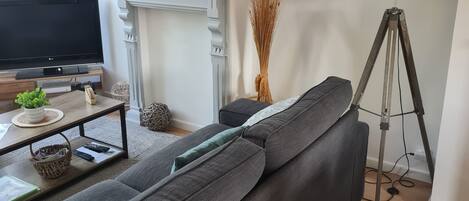 Televisión y libros