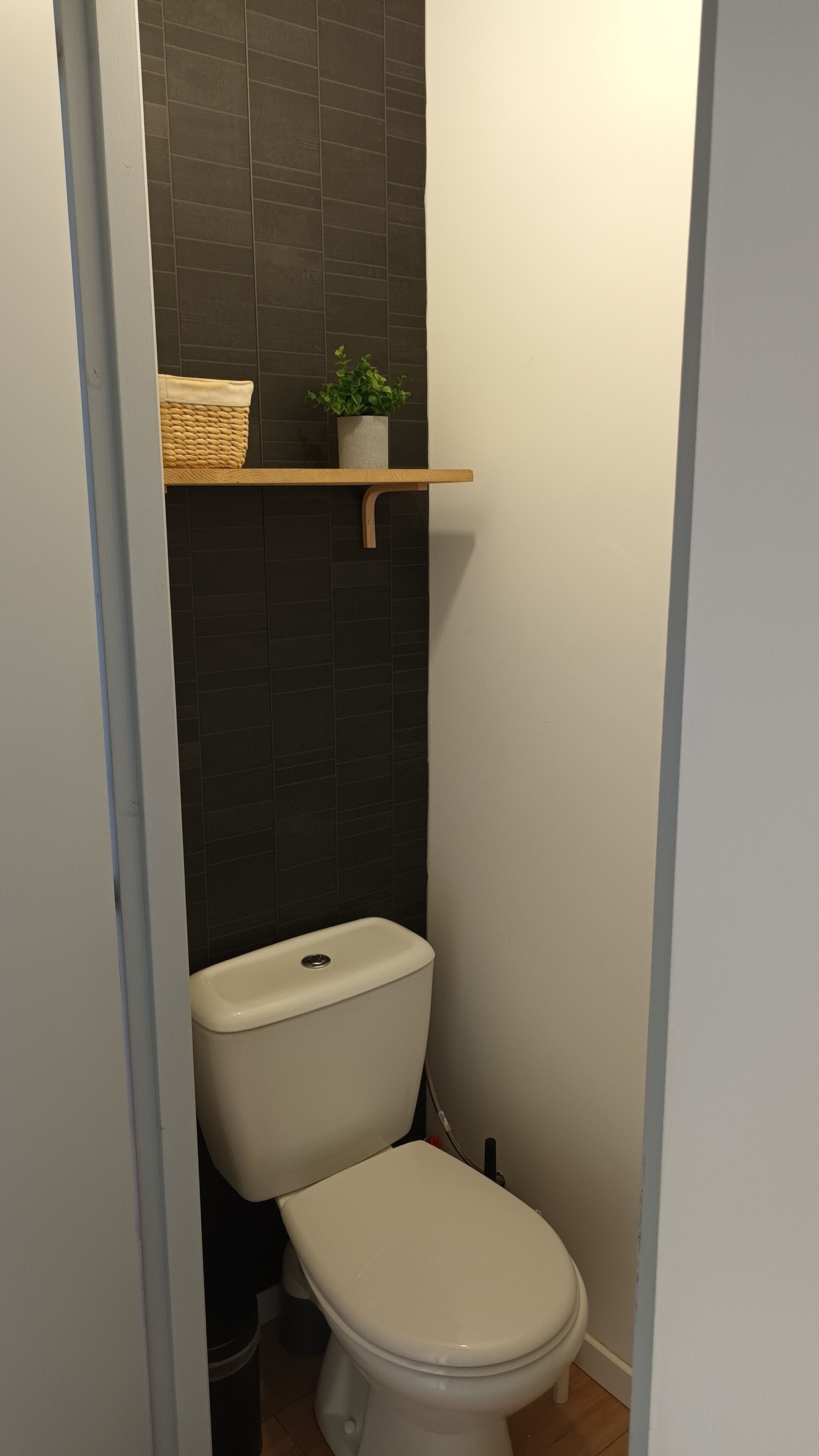 Une petite salle de bain avec des toilettes, une étagère avec une plante et un panier.