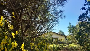 A house surrounded by dense foliage and yellow flowers. - Messanges - Landes: Villa Waves & Olas (Messanges)