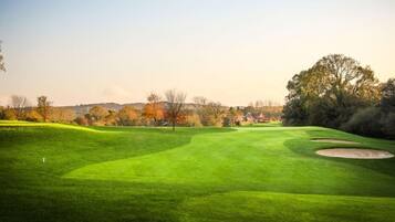 Golf view