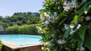 A swimming pool with a wooden deck, surrounded by lush greenery and trees. - Verderame – Apartment with pool (Baco)
