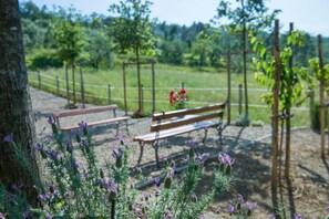 Parco della struttura