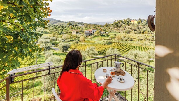 A balcony with a view of a vineyard and buildings in the distance. - Rossello - Apartment with pool (Cantagrillo)