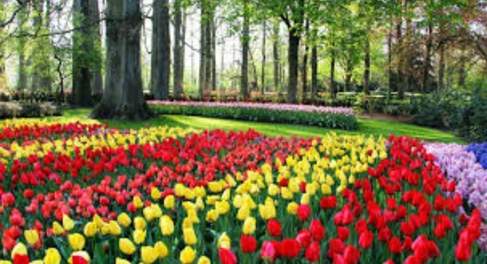 Tiny house w/ WiFi + Self Checkin Seadrift Vrbo