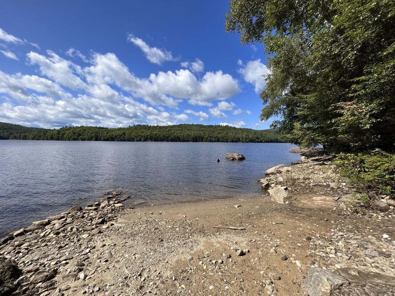 A rocky shoreline with a calm lake and a forested hill in the background.