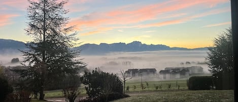 Vista dalla struttura
