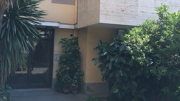 Un edificio con fachada amarilla, puerta negra y plantas en macetas alrededor de la entrada.