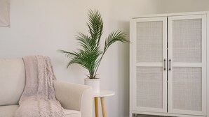 A room with a white sofa, a knitted throw, a potted plant, and a white cabinet with a mesh front.