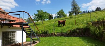 Former farm in a quiet location with adjoining circular hiking trail.