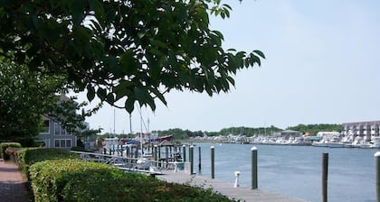 214 Mulberry - Great location in downtown historic Lewes!