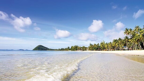 Una playa con agua cristalina, orilla de arena y palmeras.