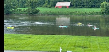 Watch or join the kayakers and rowers.